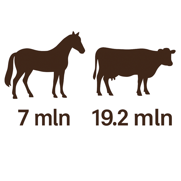 7 milonów koni i 19 milionów krów w Europie